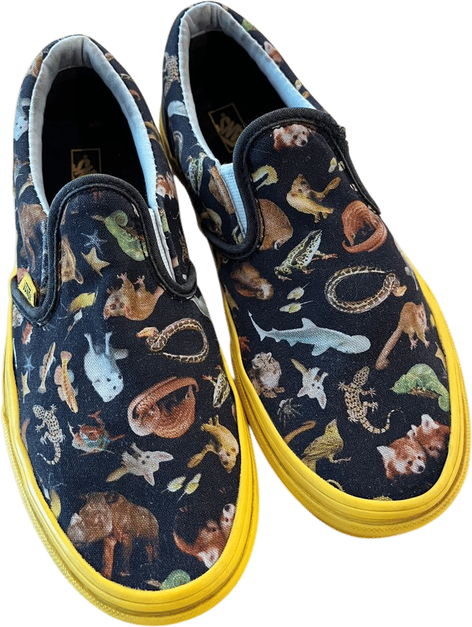 Photoark Vans