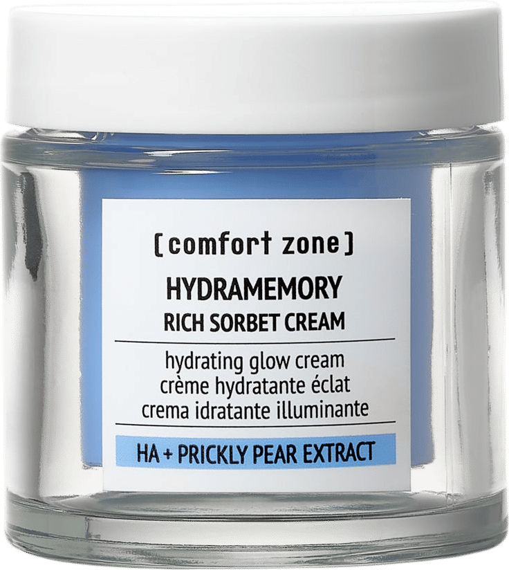 Hydramemory Rich Sorbet Cream