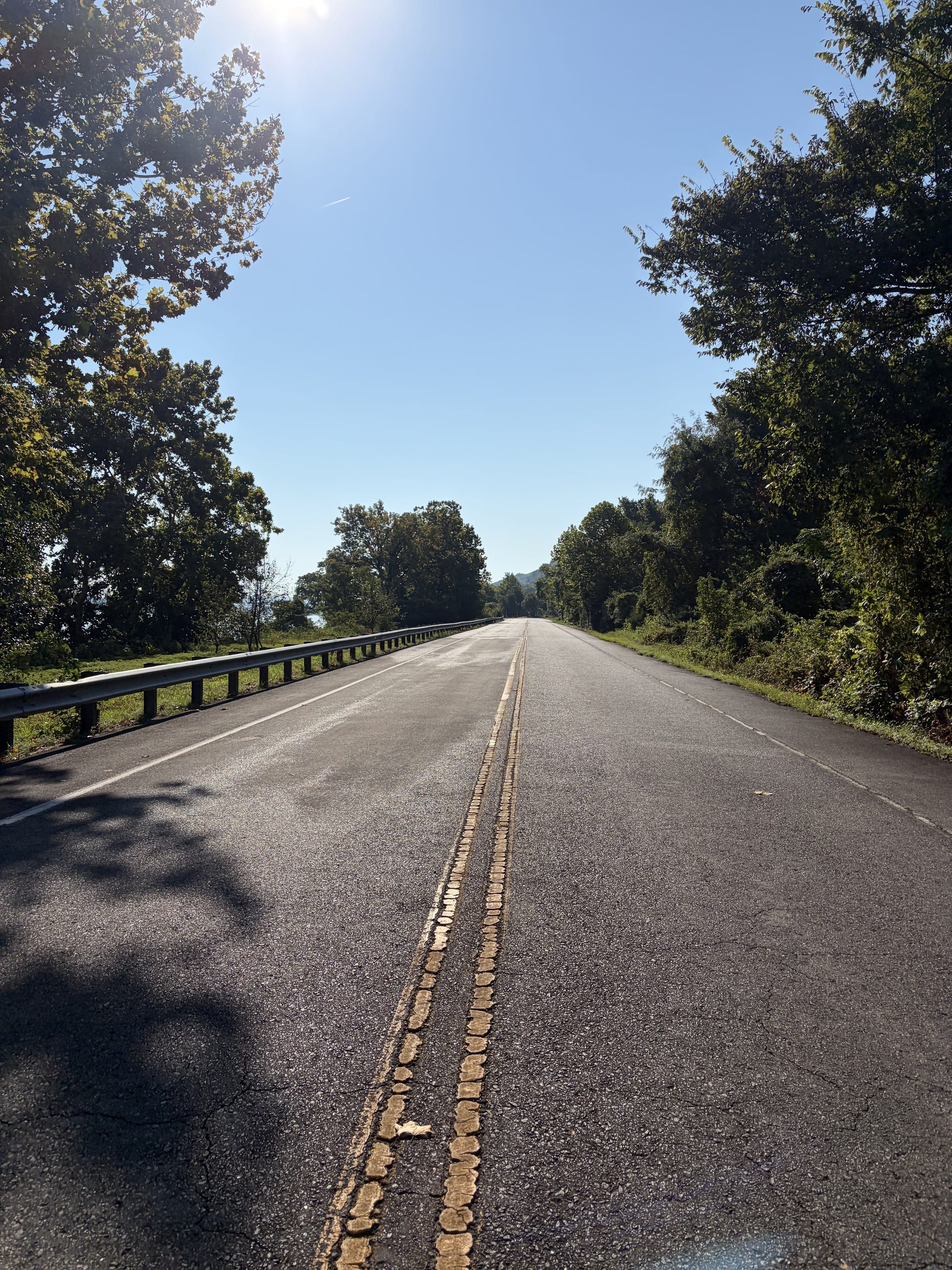 Journaling and walking or walk/running or running!
