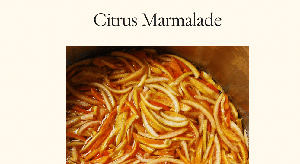 Citrus Marmalade (Alison Roman)