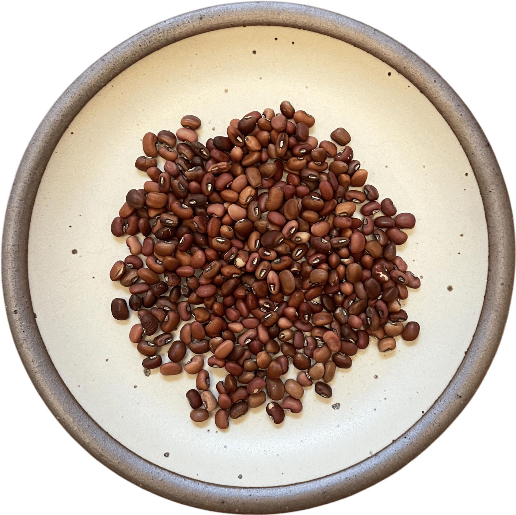 Anson Mills Sea Island Red Peas