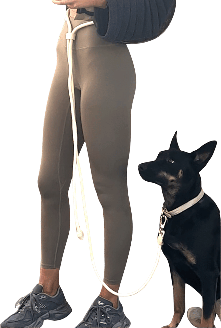 Hands-Free Dog Leads | ST ARGO