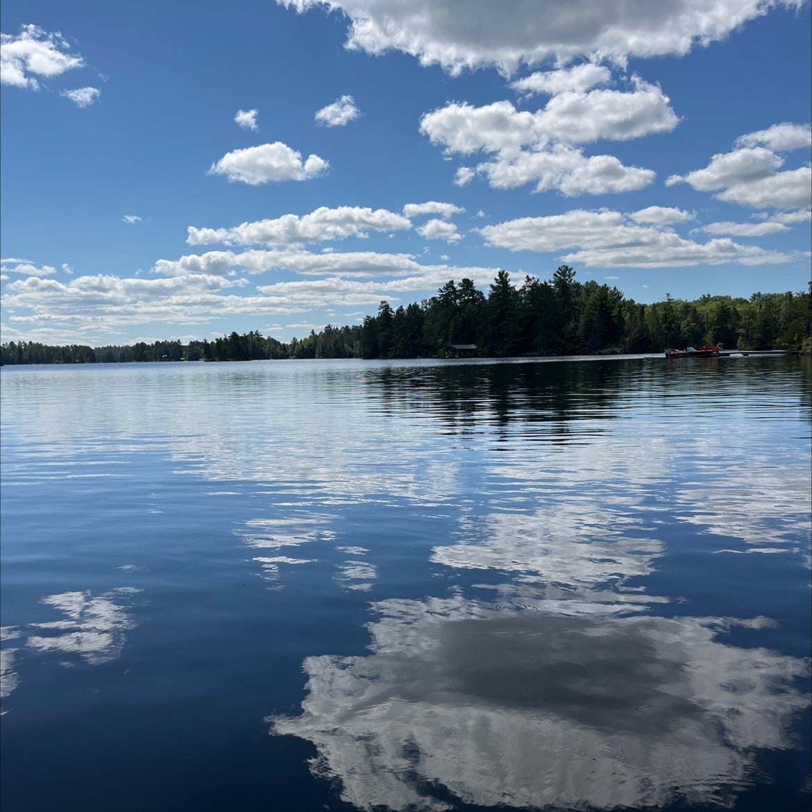 The Thomi