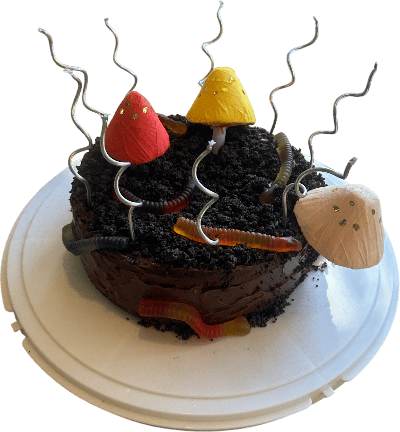 Super niche birthday cakes.