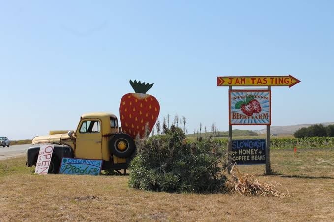 Swanton Berry Farm