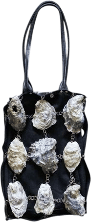 shell bag