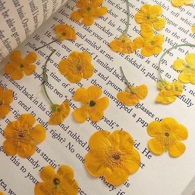 Pressing flowers in book