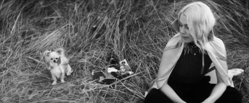 Phoebe Bridgers - "Savior Complex" music video