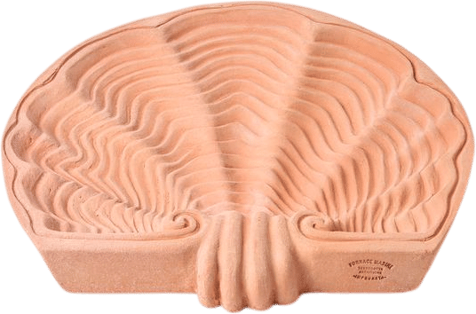 A giant shell!