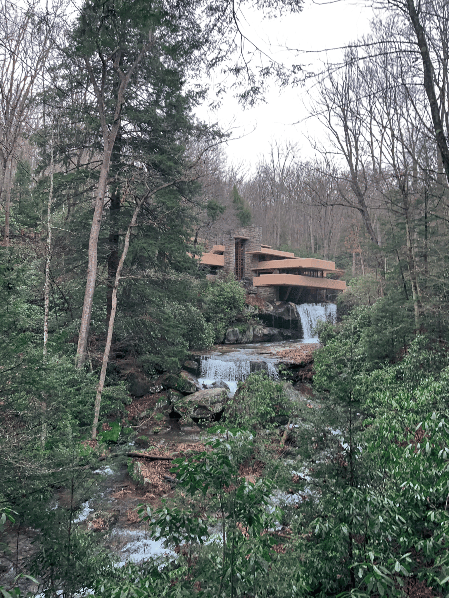 Visit Falling Water