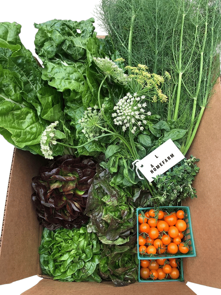 Grocery and Farm Market - LA HOMEFARM