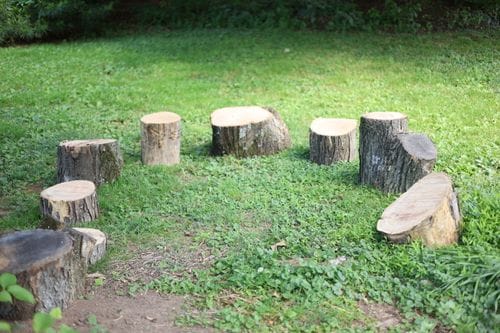 toddler stump circles