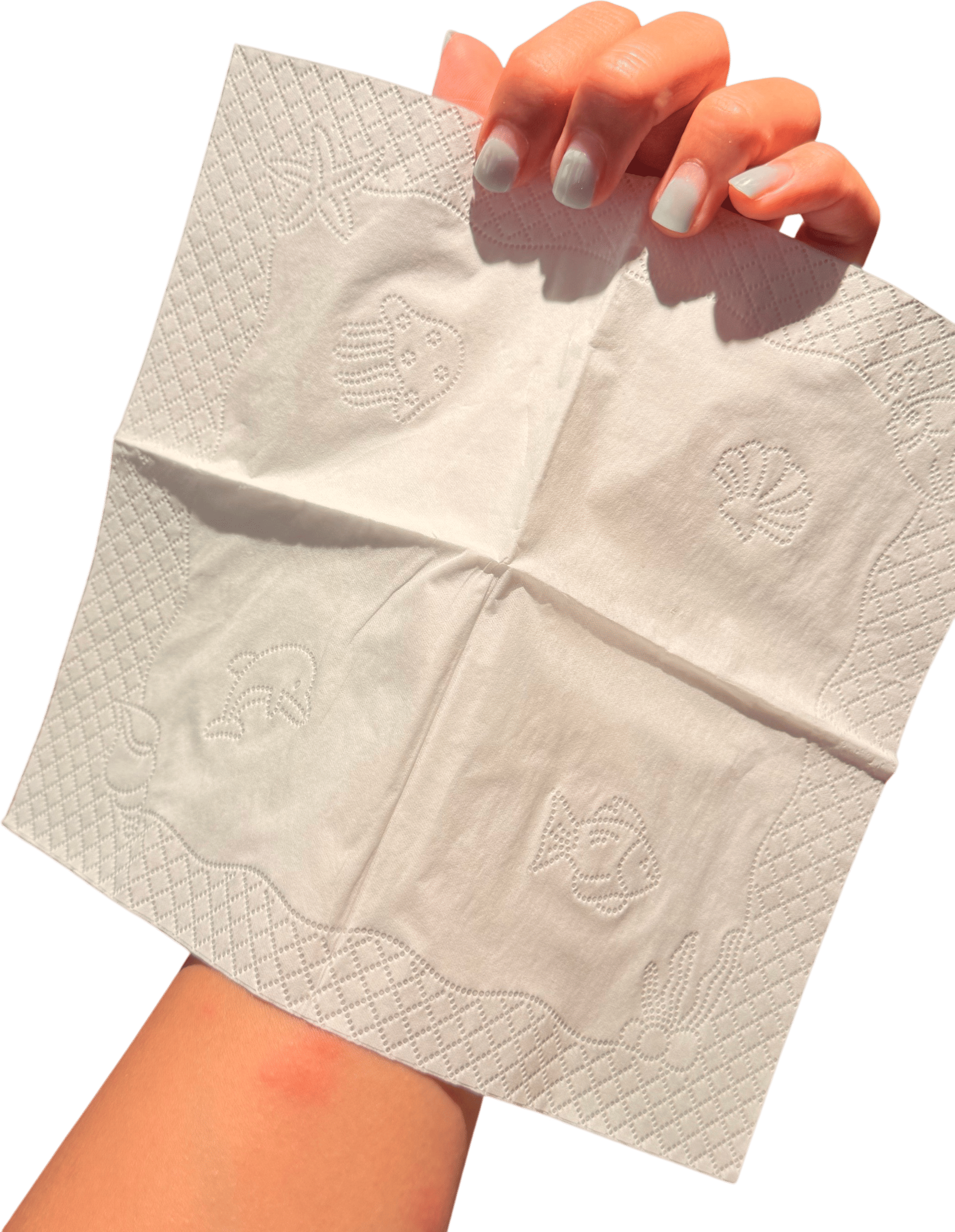 Oceanic napkins !