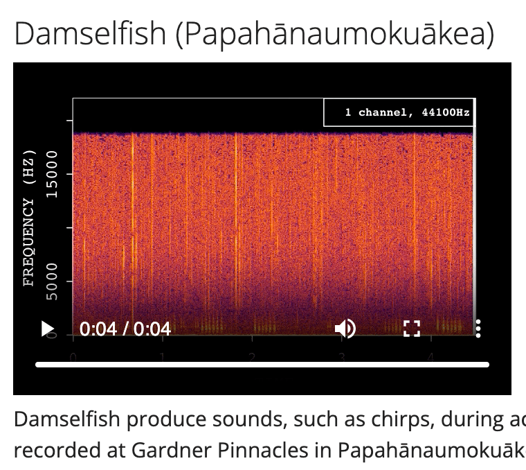 NOAA's Sanctsound Project