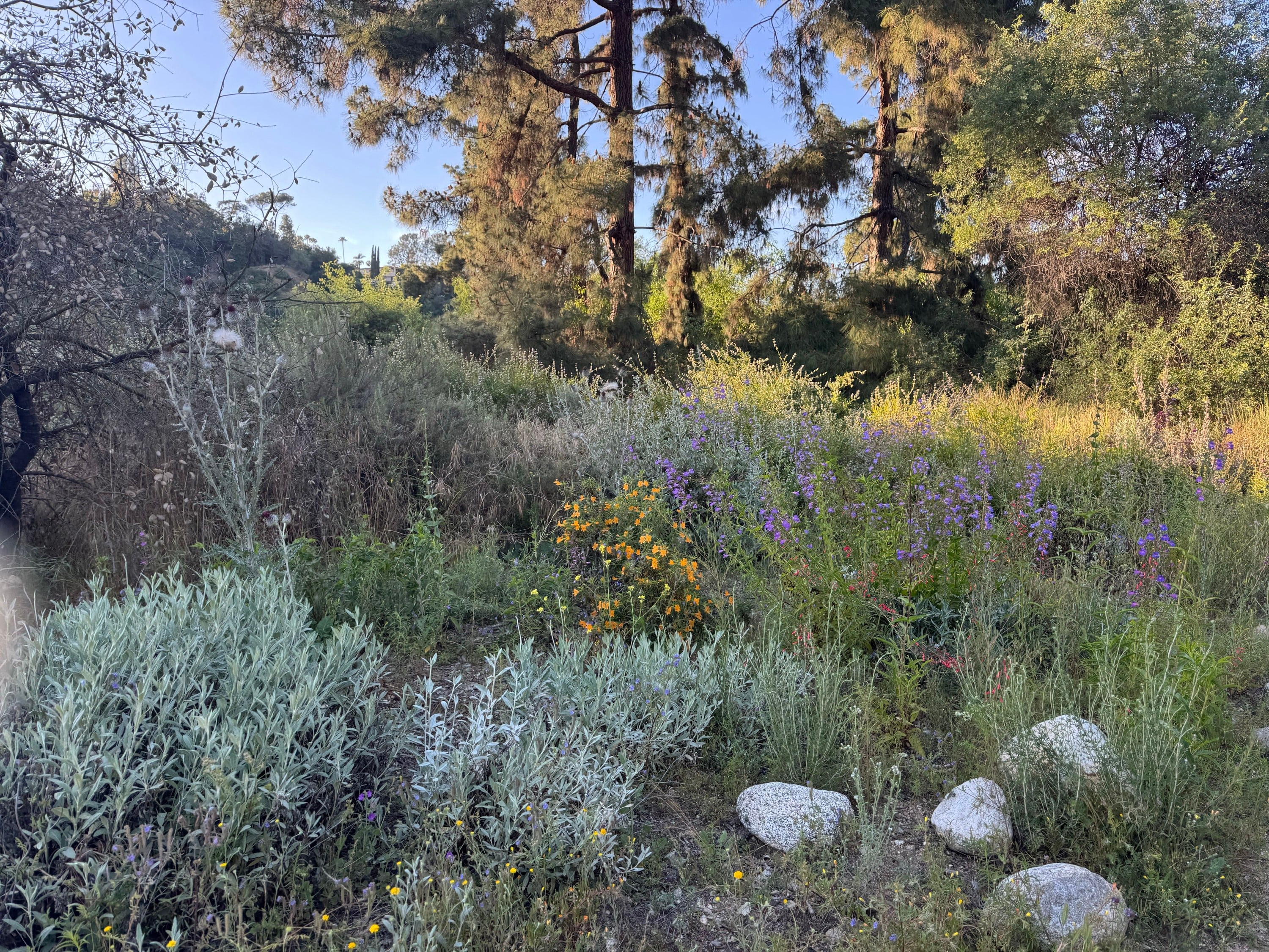 Arroyo Seco Bike Path