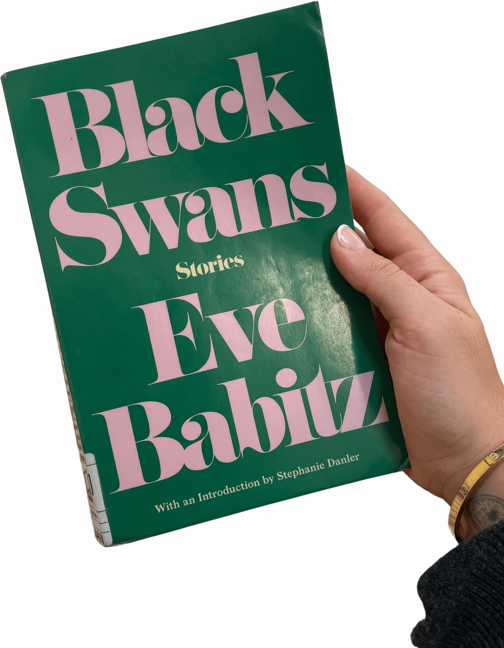 Black Swans by Eve Babitz
