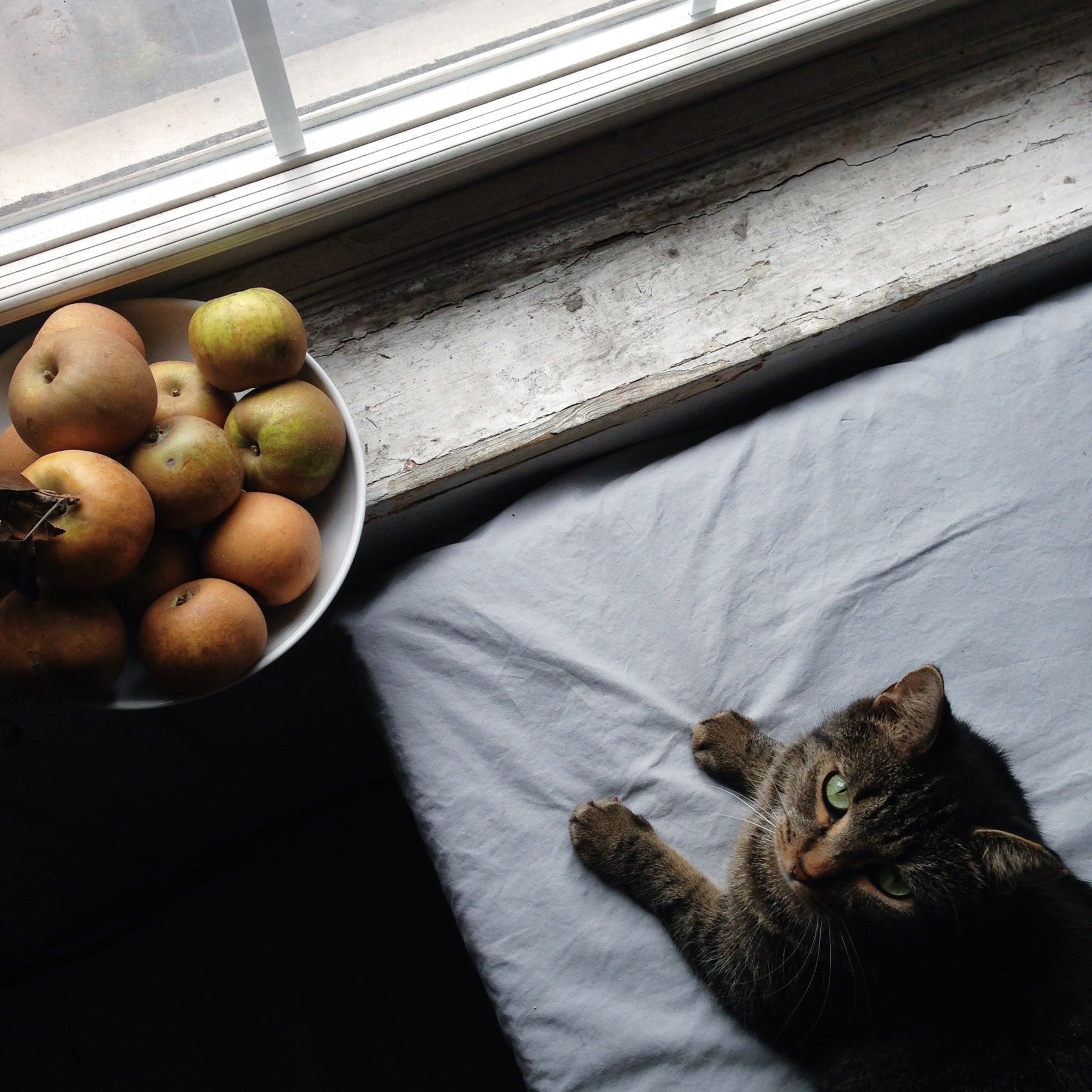 golden russet apples