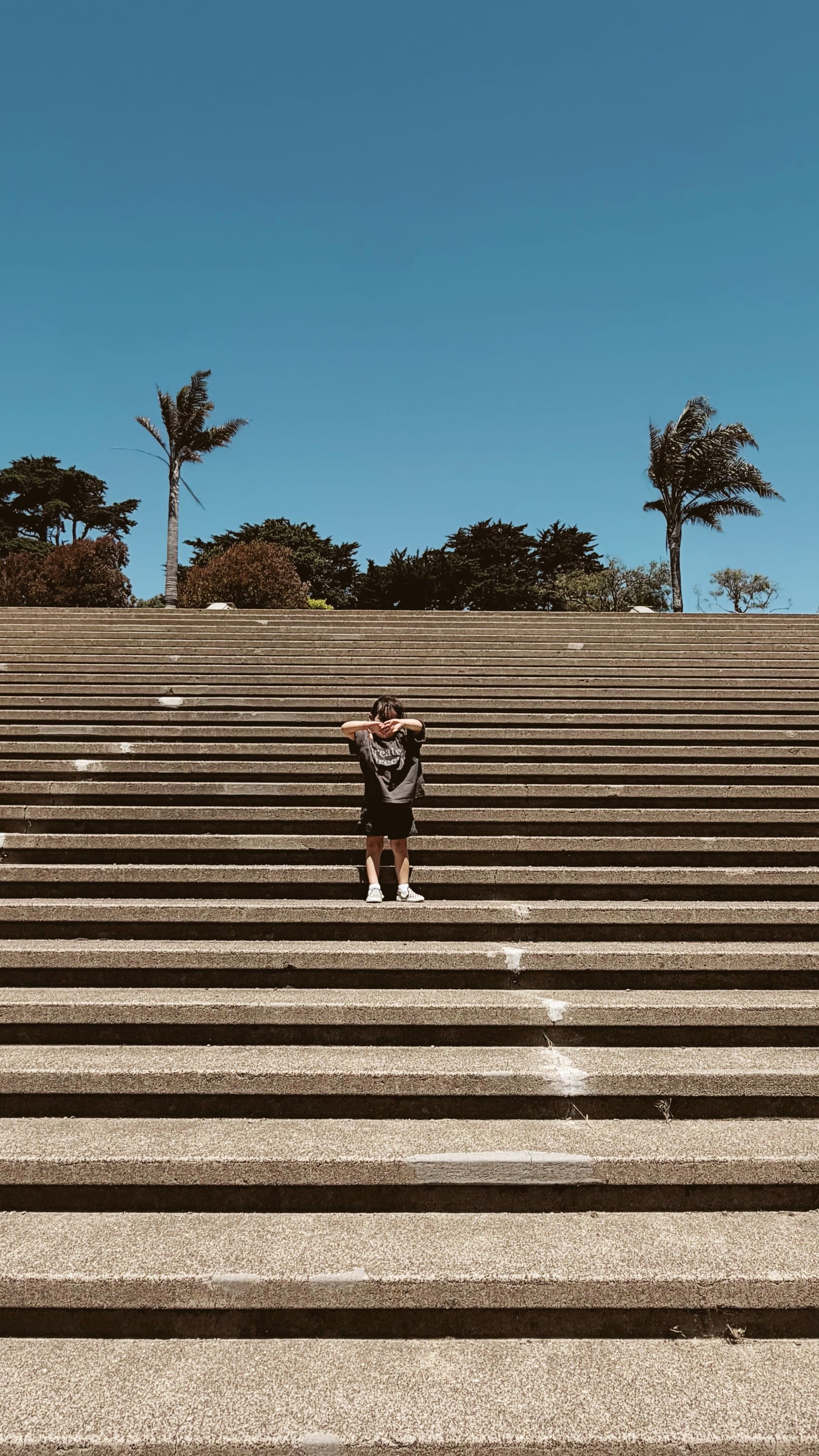 Alta Plaza Park
