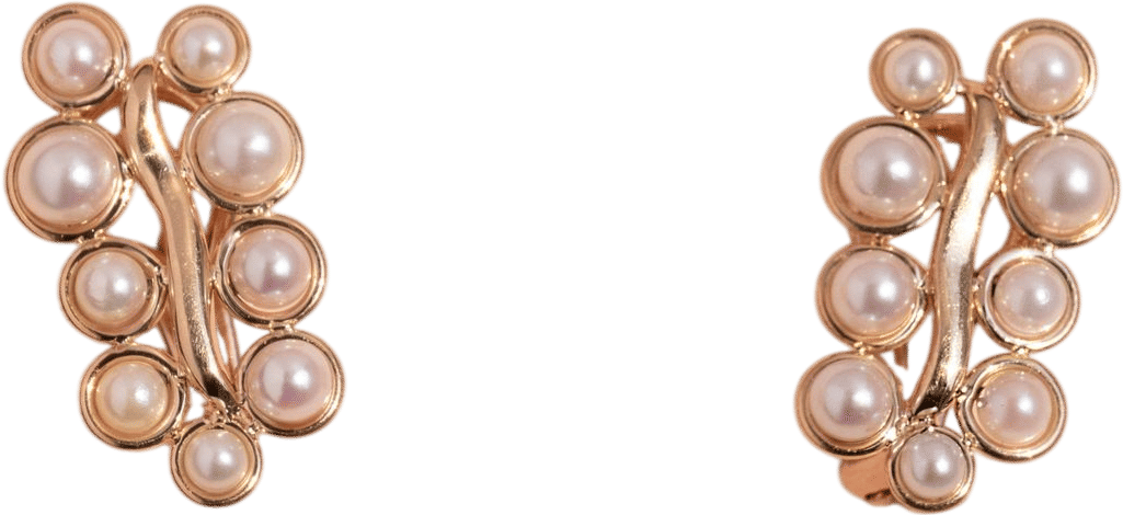 Pearl climber earrings