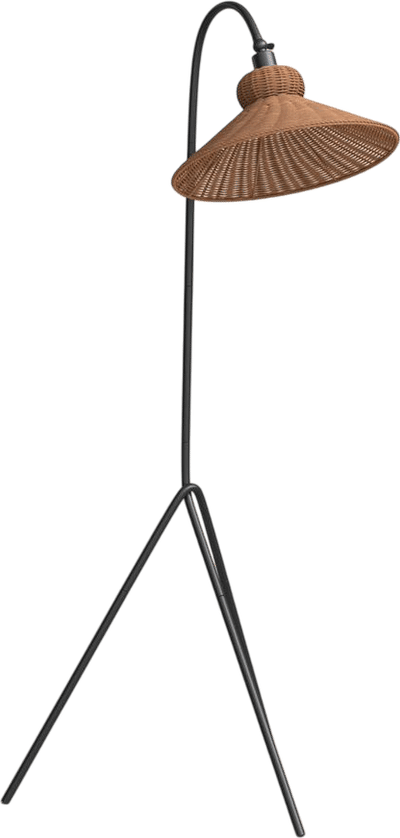 Plumeria Iron Floor Lamp