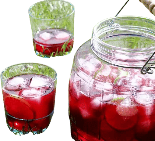 Hibiscus Lime Electrolyte Drink aka herbal gatorade