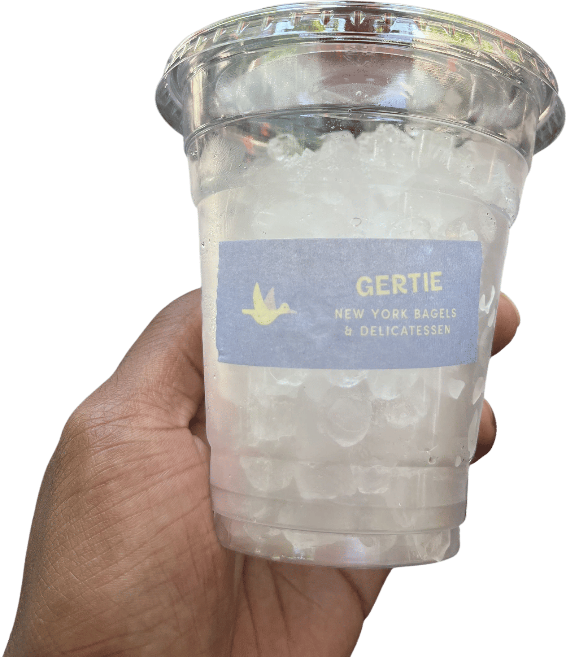 the good ice @ Gertie's Prospect Heights