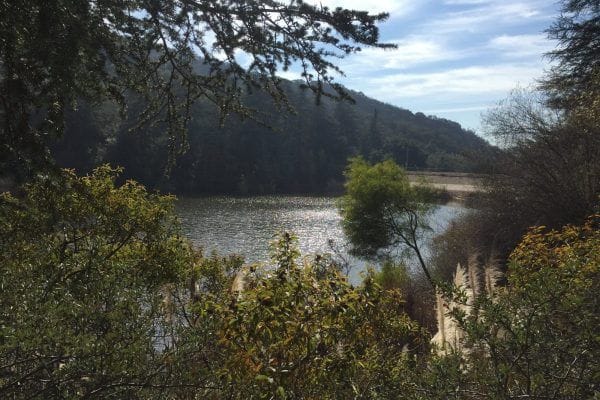 Franklin Canyon Park