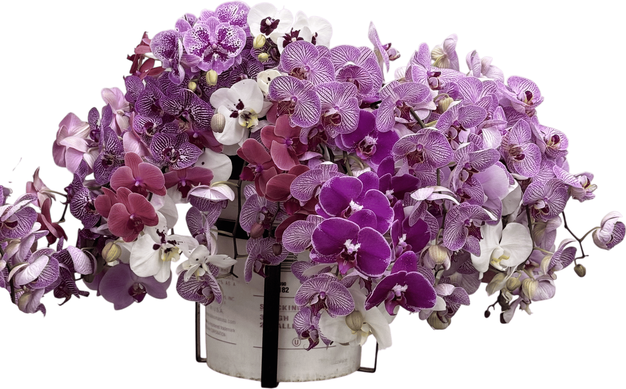 the original los angeles flower market