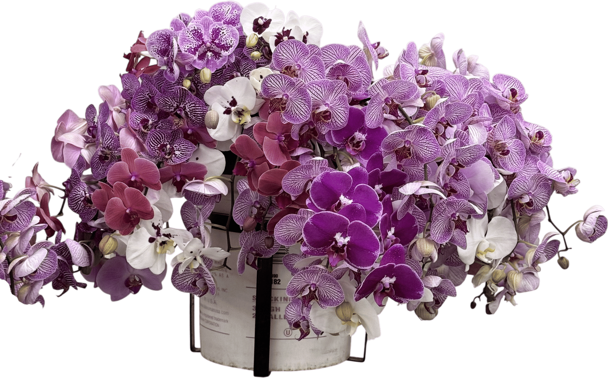 the original los angeles flower market