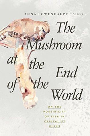 the mushroom at the end of the world