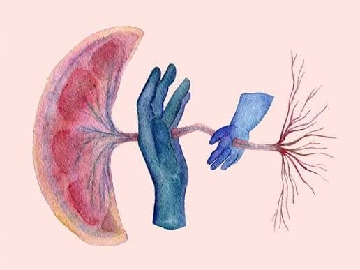 The Radiolab placenta and man vs. horse episodes.