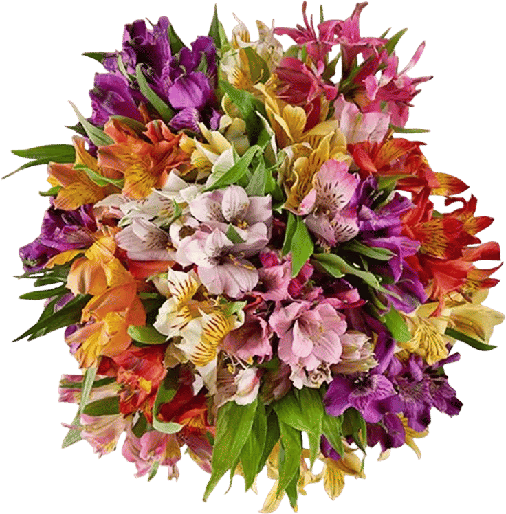 Alstroemeria Bouquets!
