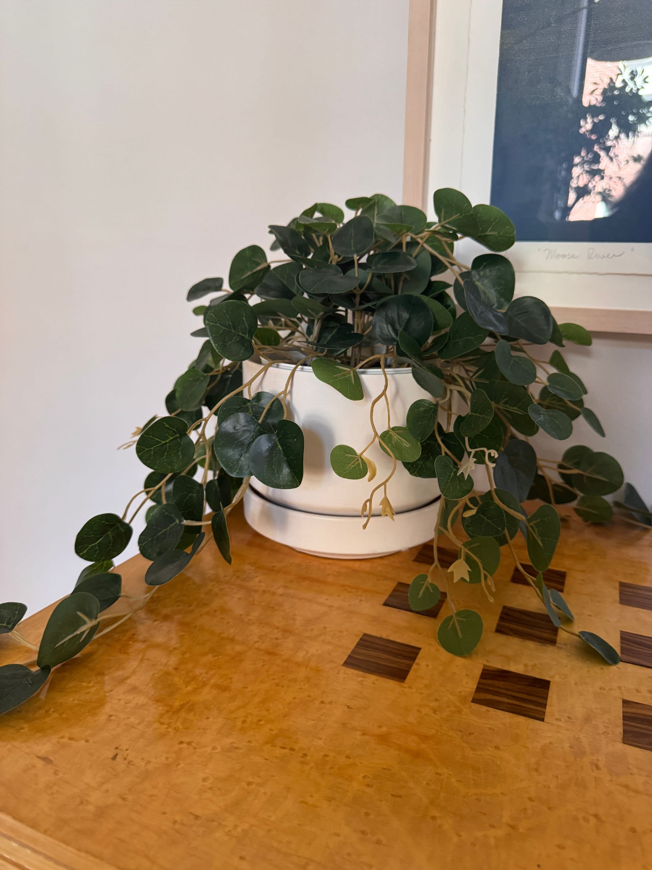 Faux Plants