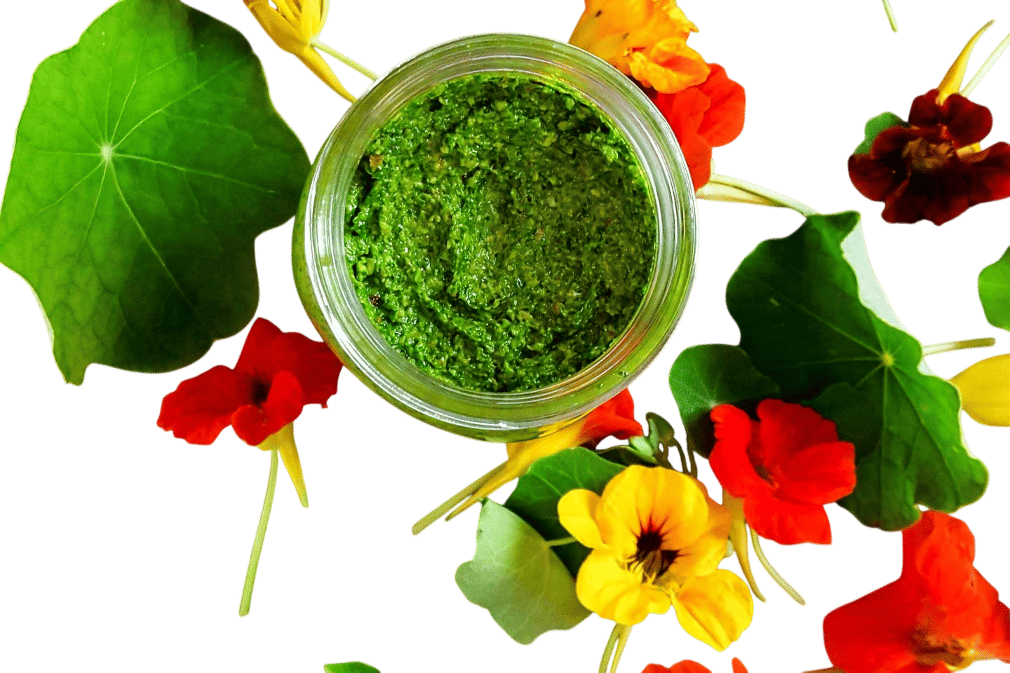 Nasturtium + Spring Herb Pesto Recipe