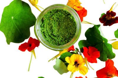 Nasturtium + Spring Herb Pesto Recipe