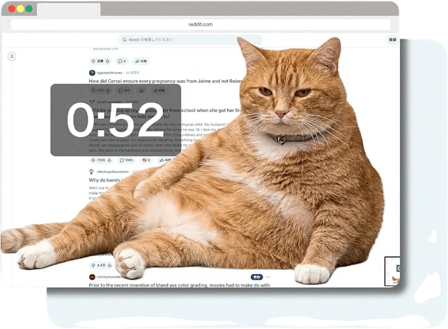 Doomscrolling Gatekeeper Cat