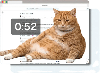 Doomscrolling Gatekeeper Cat