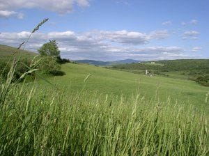 make hay while the sun is shining
