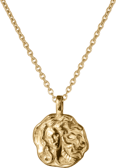 Aphrodite Mini Medallion Necklace