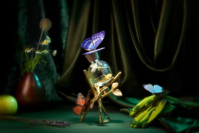 Butterfly Tamer Eau de Parfum