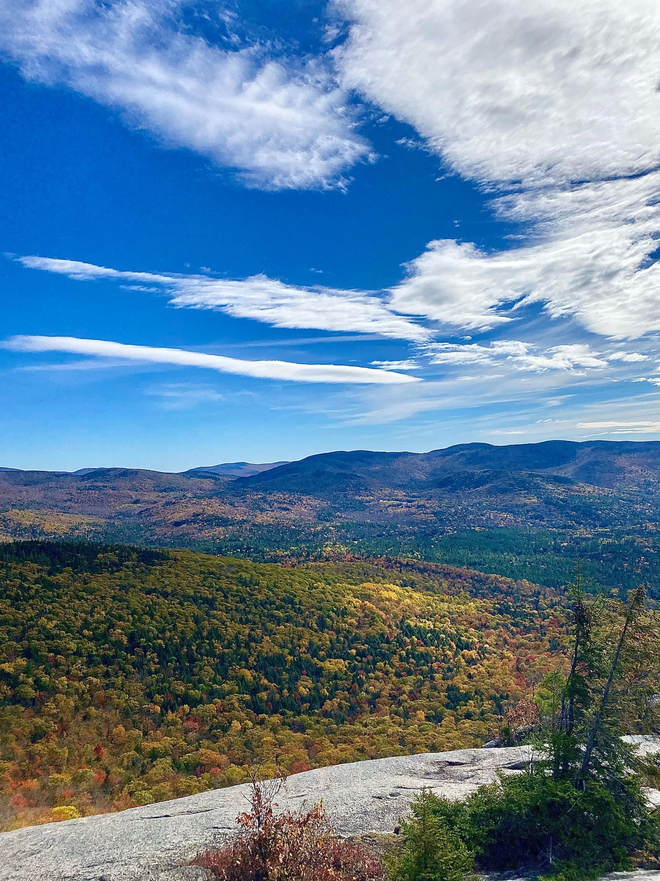 Welch-Dickey Loop Trail | Thornton, NH