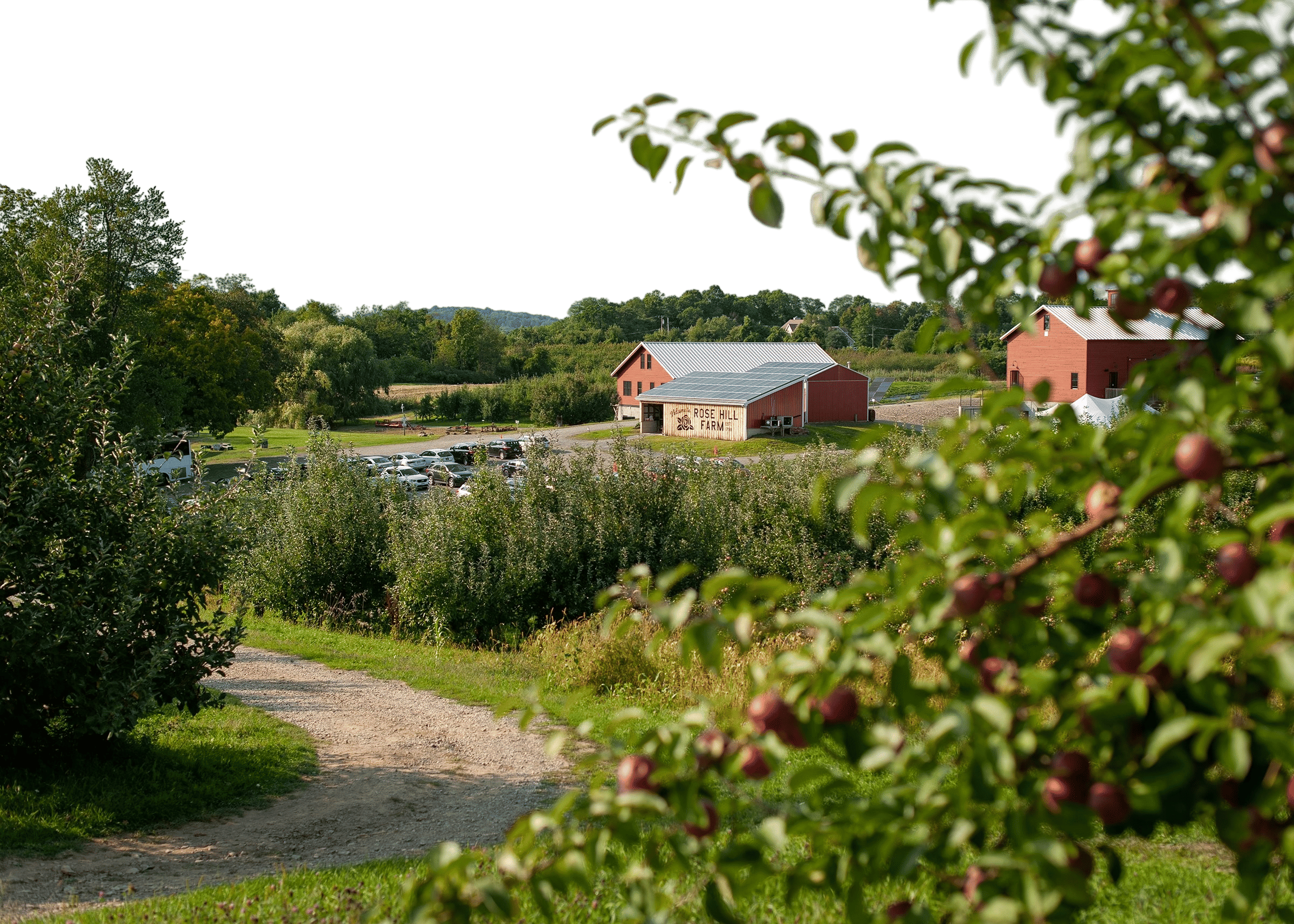 Rose Hill Farm - Red Hook, NY