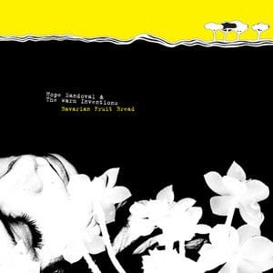 Hope Sandoval & the Warm Inventions