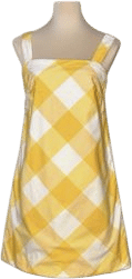 Vintage 1970s Mini Dress and Panty