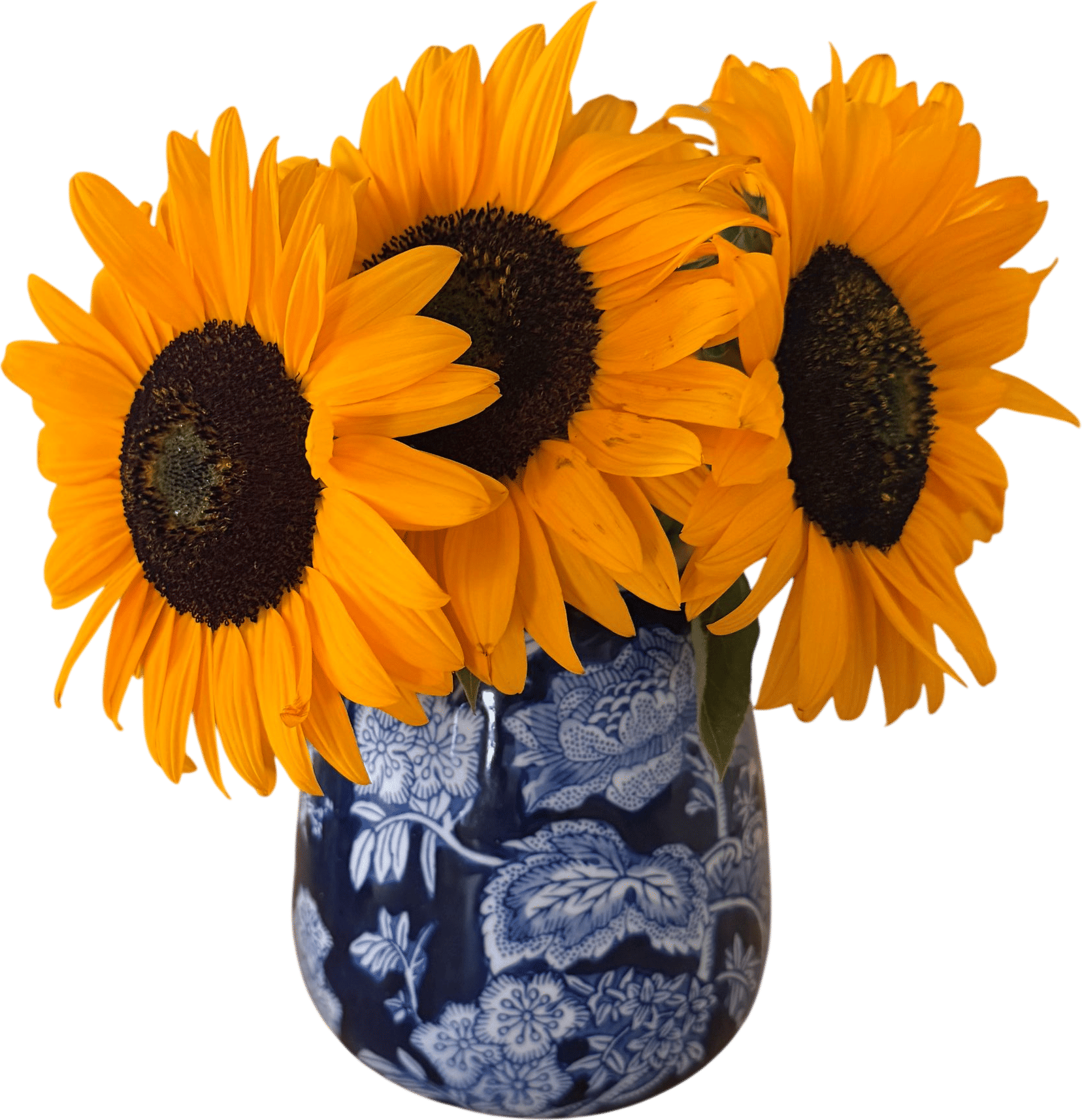 Sunflowers!