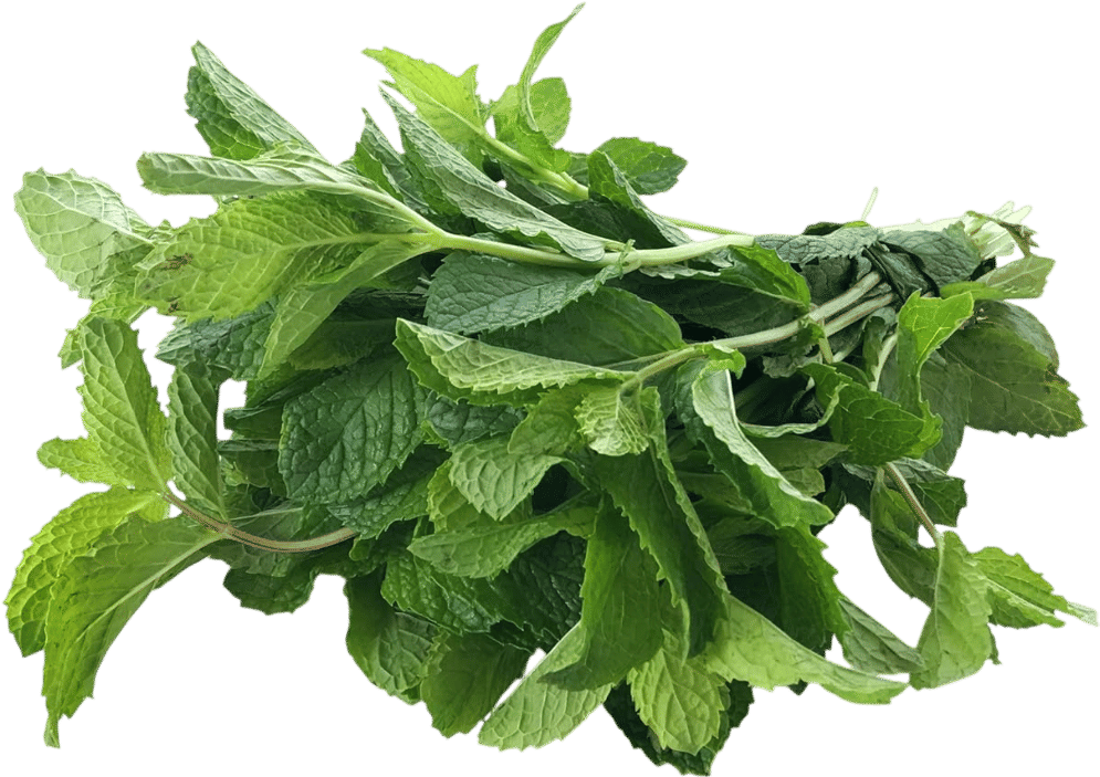 Putting fresh herbs on salads