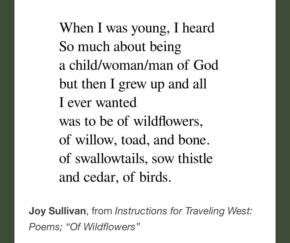 Of Wildflowers