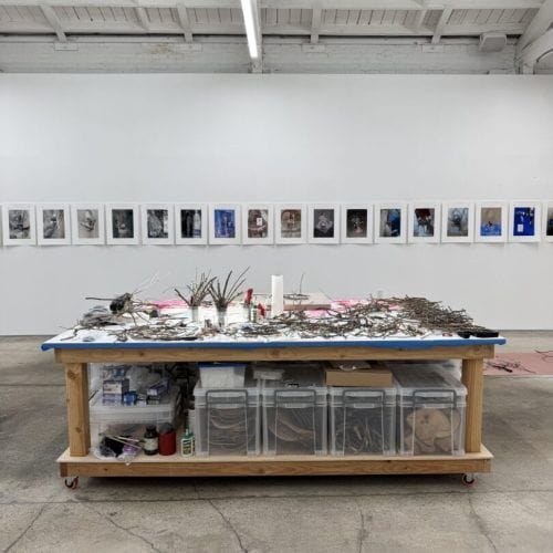 Fellows of Contemporary Art, Los Angeles