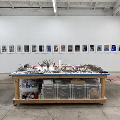 Fellows of Contemporary Art, Los Angeles