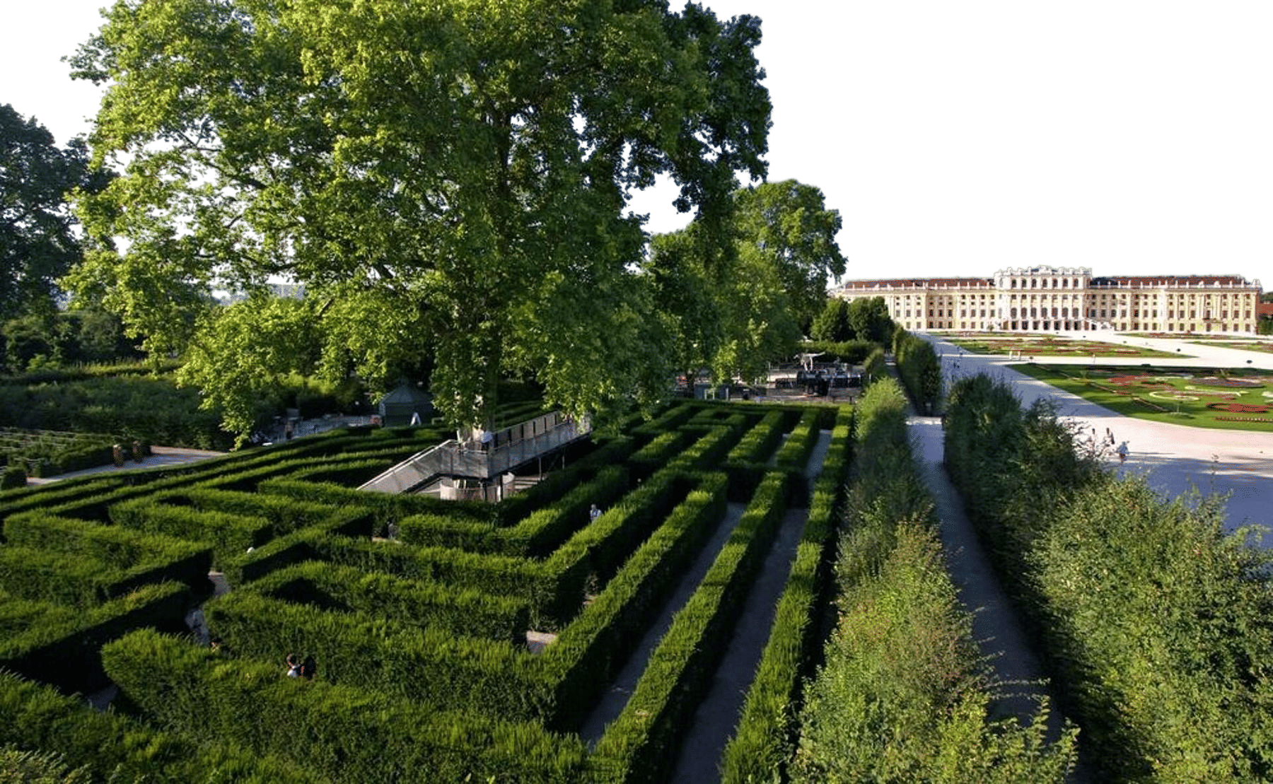 The Gardens of Schönbrunn Palace